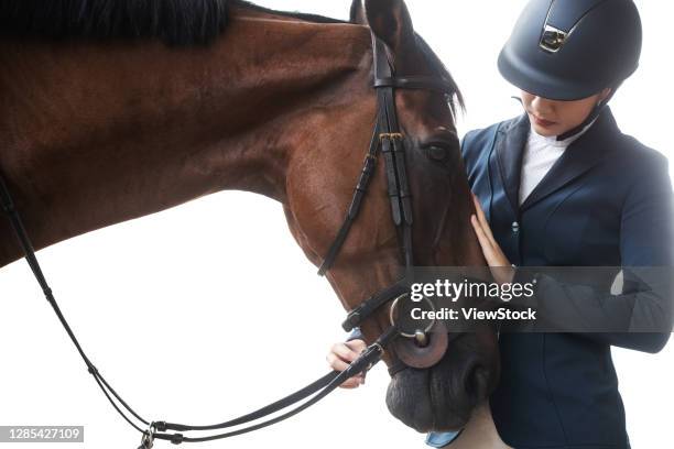 professional racing jockey and horses - rein stock pictures, royalty-free photos & images