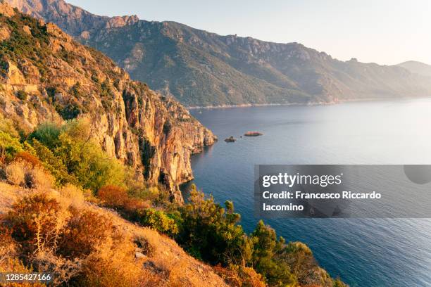 calanche (calanques) of piana, gulf of girolata, corsica island, france - nature reserve bildbanksfoton och bilder