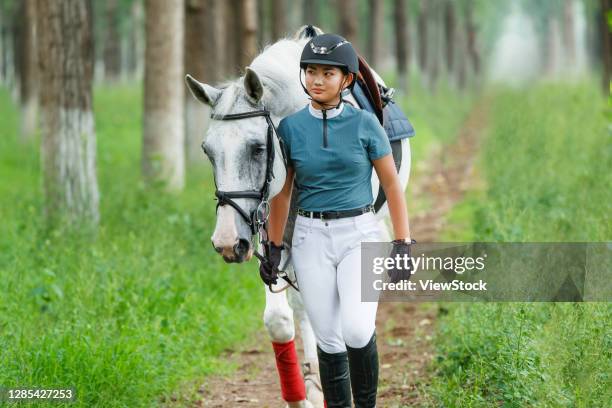 the horse tree-lined road handsome girl - botas de montar fotografías e imágenes de stock