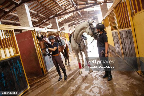 the sisters of the horse in the stable to chat - horse barn stock pictures, royalty-free photos & images