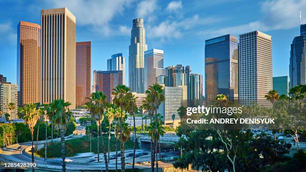 los angeles financial district. palm tree - la palm trees stock pictures, royalty-free photos & images