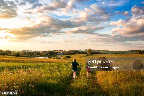 mother and son walking through a field of flowers on a rural farm - rural iowa stock pictures, royalty-free photos & images