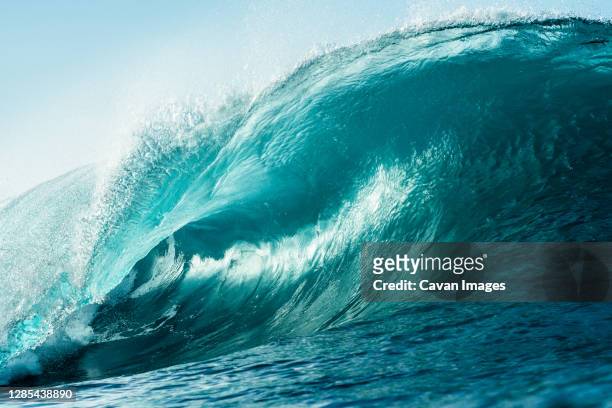 ocean wave breaking in morning light - ola fotografías e imágenes de stock