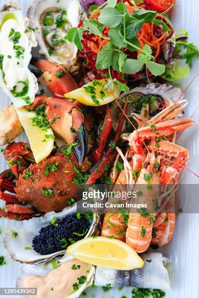 delicious seafood platter from the isle of mull - seafood platter foto e immagini stock