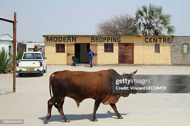 Un zébu marche devant un magasin sur lequel il est écrit "modern shopping center" , mélange de tradition et de modernité dans la campagne profonde...
