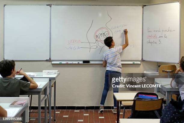 Un élève complète au tableau un schéma de femme enceinte en écrivant les mots "cordon ombilical" devant ses camarades de classe, 15 juin 2016,...
