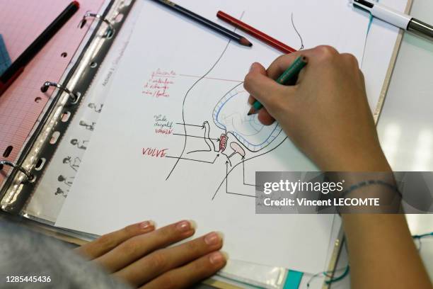 Une élève de quatrième complète un schéma de femme enceinte en dessinant un fœtus sur une copie de son classeur de SVT lors d'un cours d'éducation...