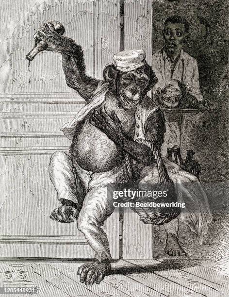 drunk  chimpanzee - 1871 stock illustrations