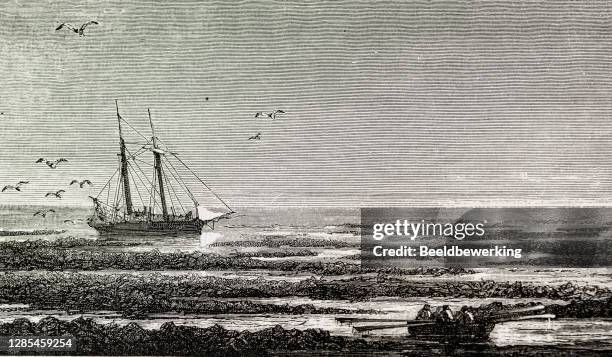 sargasso sea with sailing ship - sailing crew stock illustrations