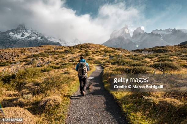 man hiking in the torres del paine national park, chile - hill fotografías e imágenes de stock