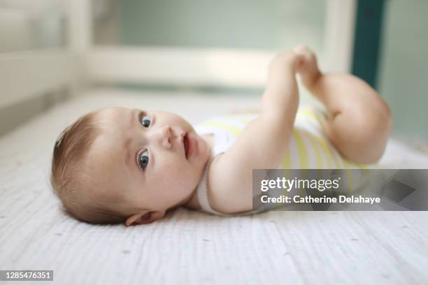 portrait of a 5 month old baby girl - lying on back photos stock pictures, royalty-free photos & images