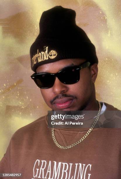 Rapper Domino appears in a portrait wearing a Timberland hat and a Grambling State University T-Shirt) taken on January 10, 1994 in New York City.