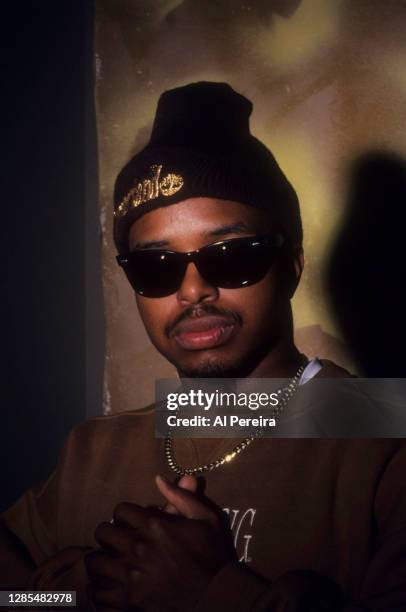 Rapper Domino appears in a portrait wearing a Timberland hat and a Grambling State University T-Shirt) taken on January 10, 1994 in New York City.