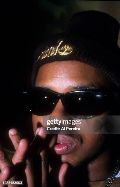 Rapper Domino appears in a portrait wearing a Timberland hat and a Grambling State University T-Shirt) taken on January 10, 1994 in New York City.