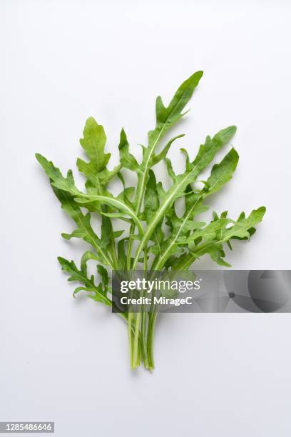 a bunch of arugula on white - rucola stock-fotos und bilder