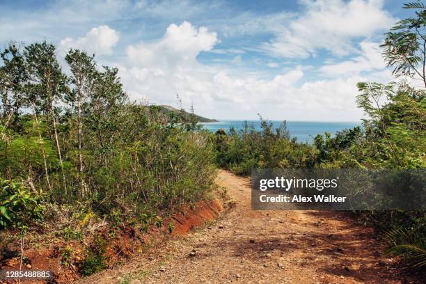 dirt path surrounded by foliage on tropical island - yasawa island group stock pictures, royalty-free photos & images