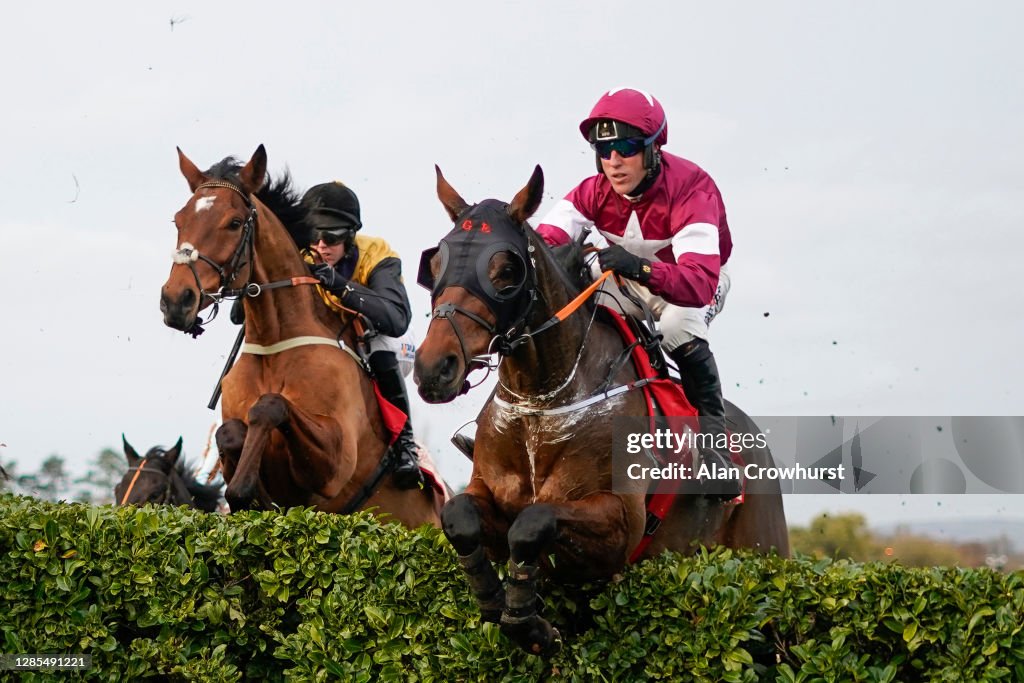 Cheltenham Races
