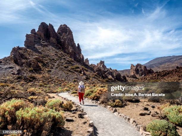 hiking woman walking through a volcanic mountain landscape in tenerife, canary islands. - tenerife stock-fotos und bilder