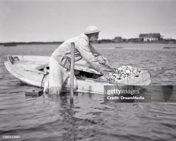 Clumming Clamming Photos and Premium High Res Pictures - Getty Images