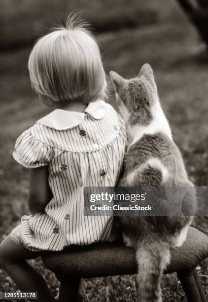 1980s Back View Of Little Girl And Pet Domestic Cat Sitting Outside Together On A Stool