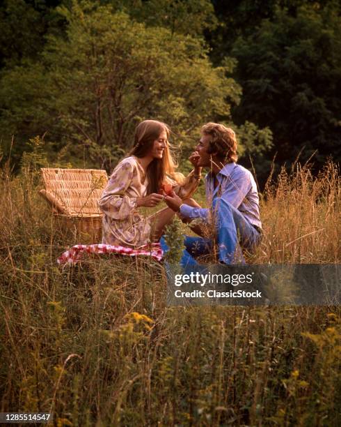 1970s Couple Enjoying Picnic In Outdoor Field