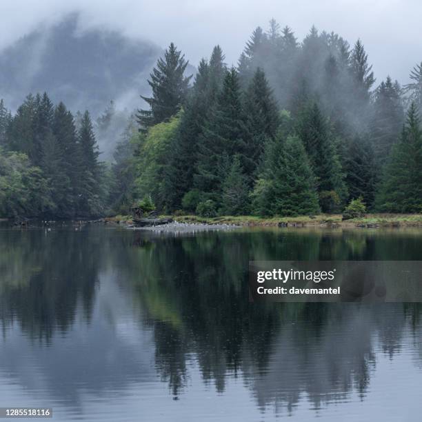 port renfrew mistig landschap - vc stockfoto's en -beelden