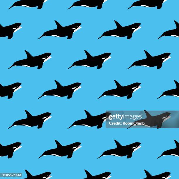 killer whales seamless pattern - whale tail illustration stock illustrations
