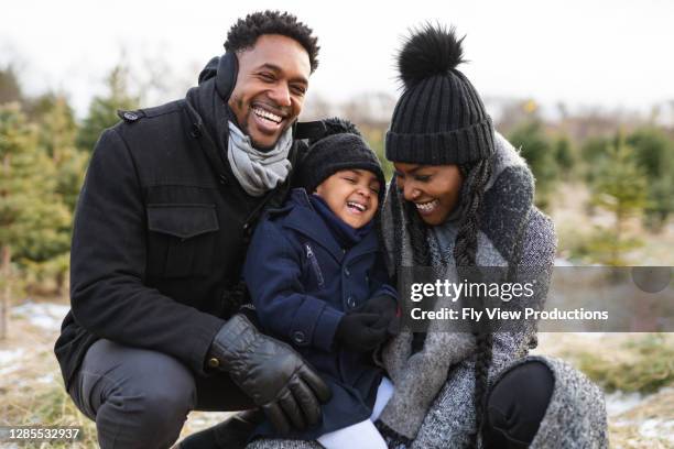 enjoying family time while searching for a christmas tree - daily life in toronto stock pictures, royalty-free photos & images
