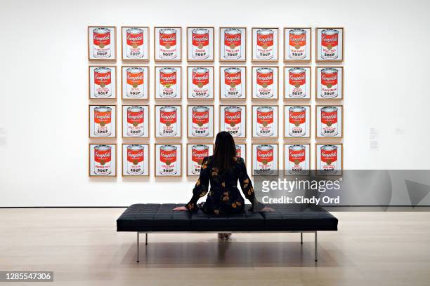 Andy Warhol's 'Campbell's Soup Cans' is on display during a press preview of MoMA’s first ever Fall Reveal at Museum of Modern Art on November 13,...