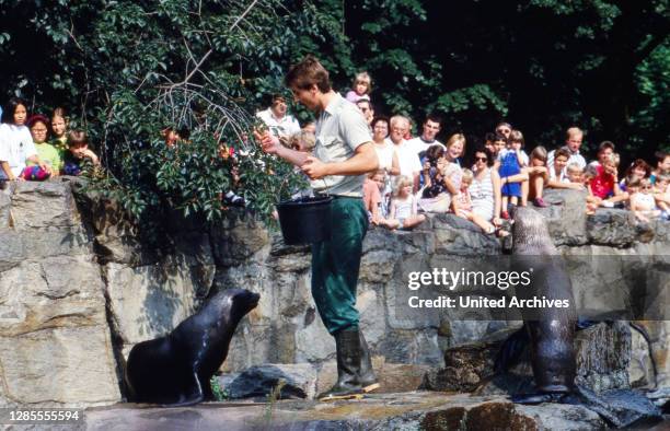 Fütterung der Seehunde bei der Taufe von Robbenbaby "Retro" im Zoo in Frankfurt, Deutschland 1994.