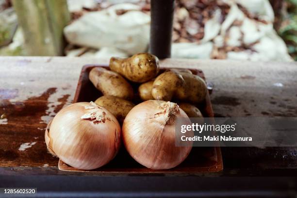 vegetables washed for barbecue. - neue kartoffel gekocht stock-fotos und bilder