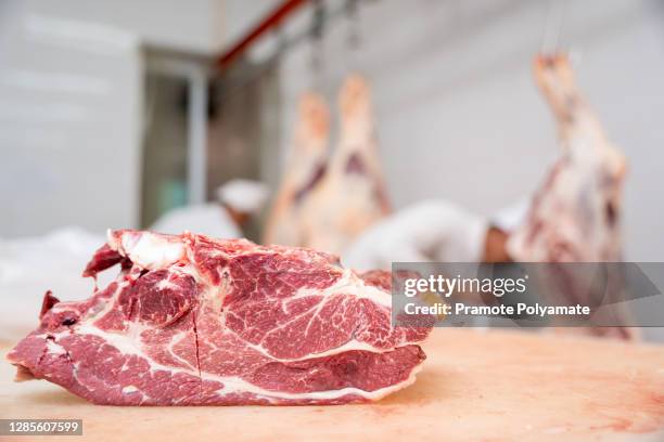 meat industry, two butcher cut raw meats hanging in the cold store. cattles cut and hanged on hook in a slaughterhouse, wagyu beef - slaughterhouse stock pictures, royalty-free photos & images