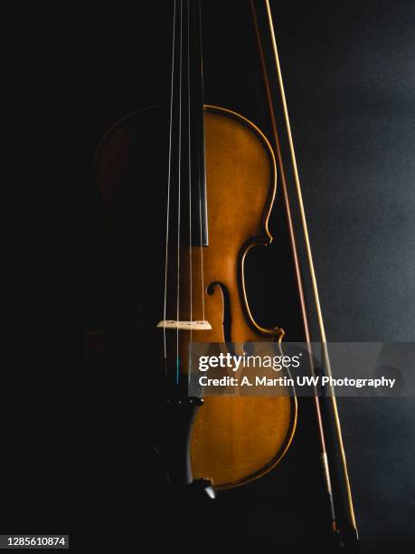cropped image of violin against black background - violino foto e immagini stock
