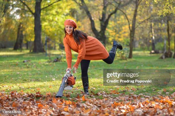autumn leaf cleaning outdoors - leaf blower stock pictures, royalty-free photos & images