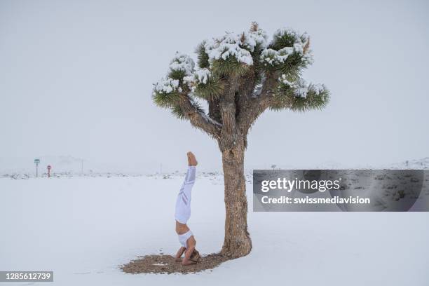 frau praktiziert yoga neben yucca baum, schneebedeckt - yoga in the snow stock-fotos und bilder