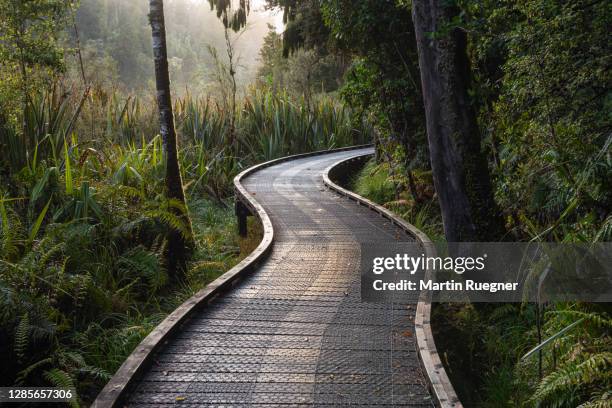 hiking boardwalk around lake matheson (near fox glacier / west coast region) through rainforest at morning. - lake matheson new zealand stock pictures, royalty-free photos & images