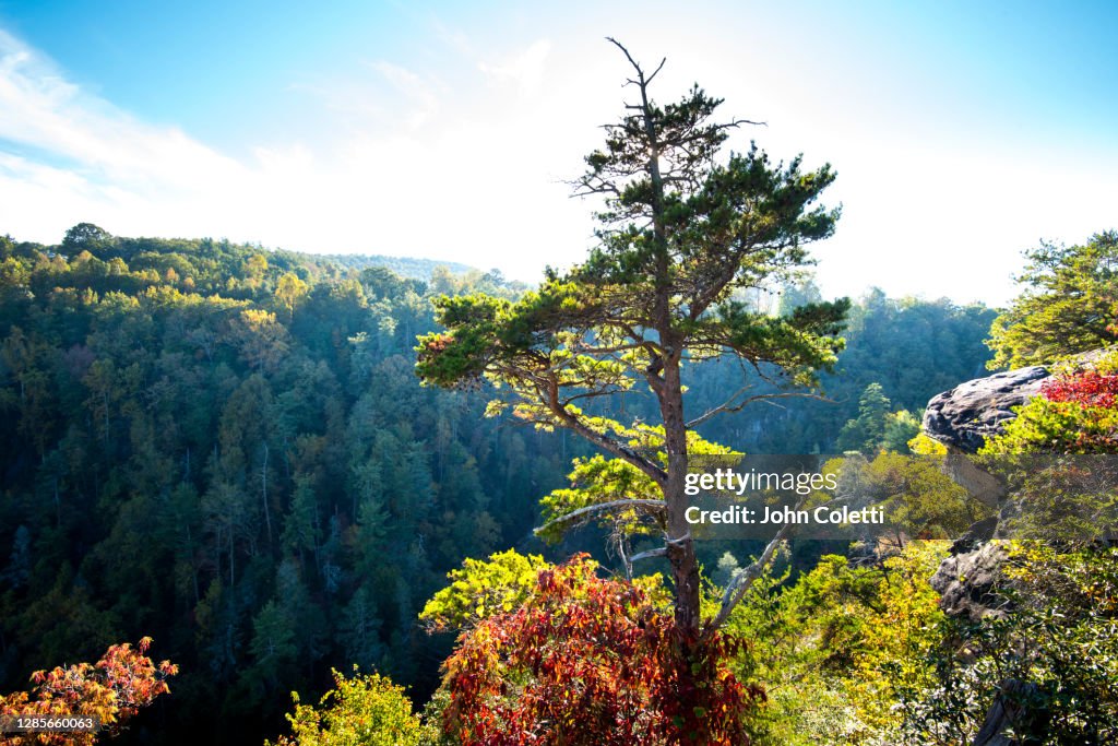 Tallulah Gorge State Park, Appalachian Mountains, Georgia