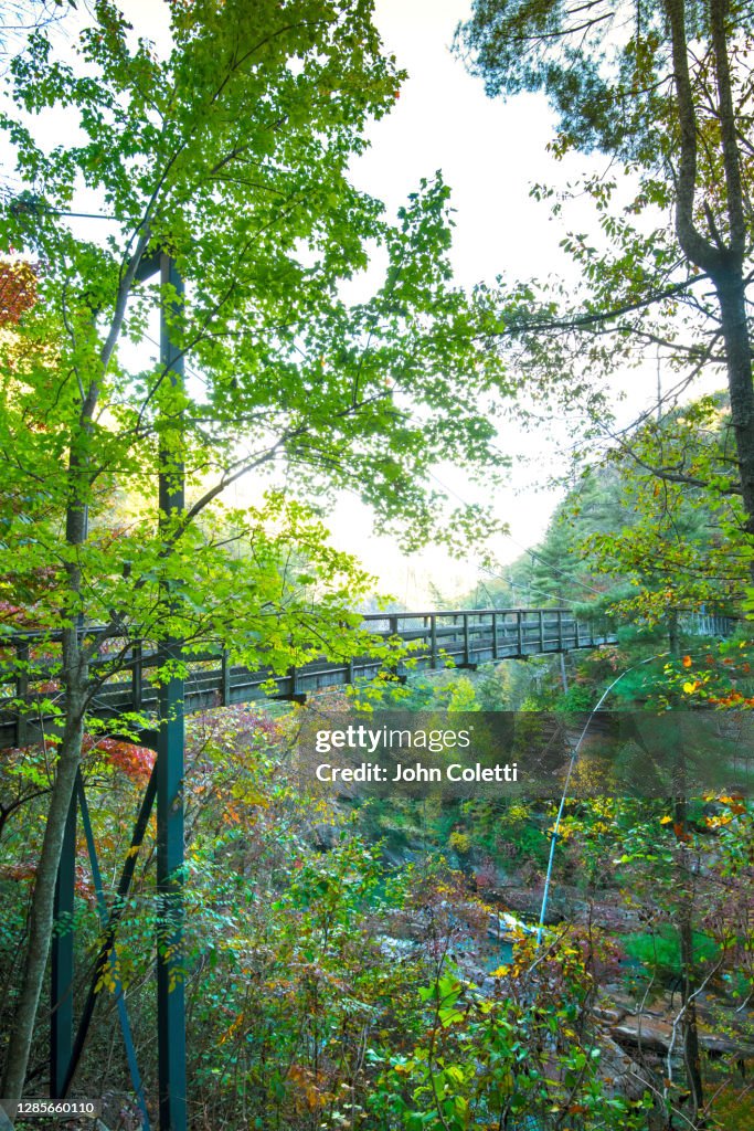 Tallulah Gorge State Park, Appalachian Mountains, Georgia