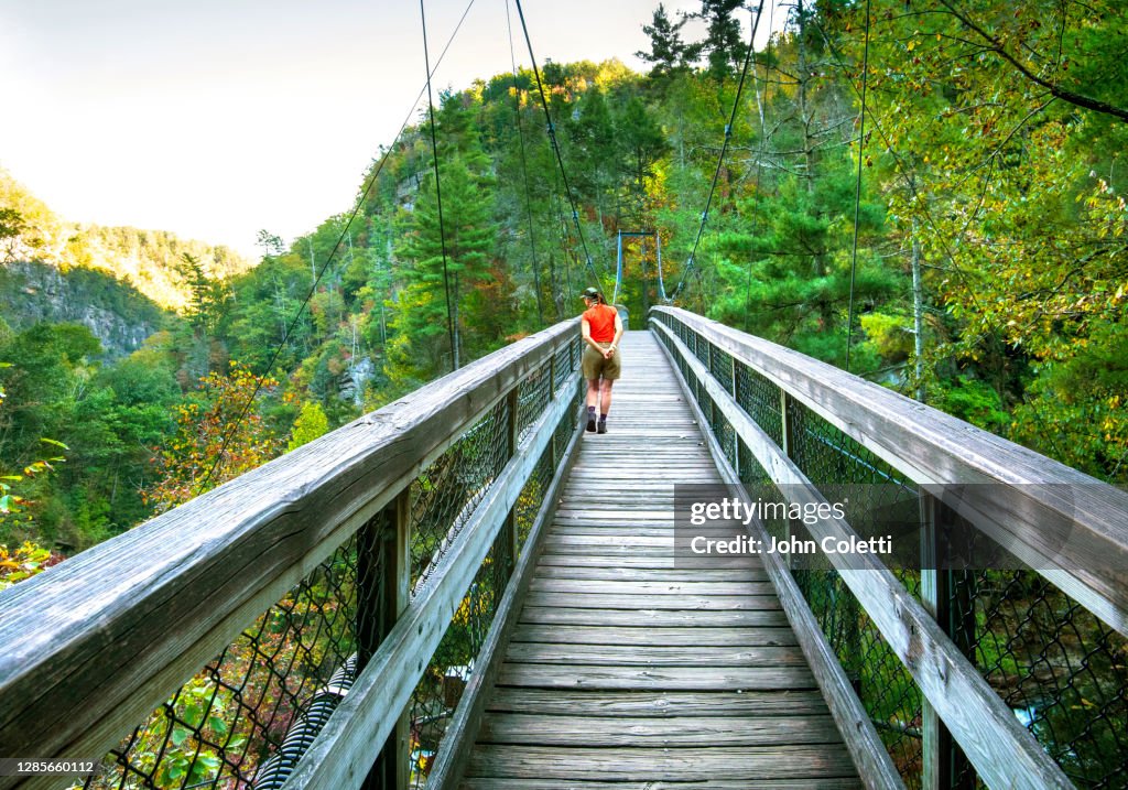 Tallulah Gorge State Park, Appalachian Mountains, Georgia