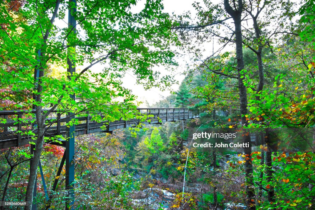 Tallulah Gorge State Park, Appalachian Mountains, Georgia