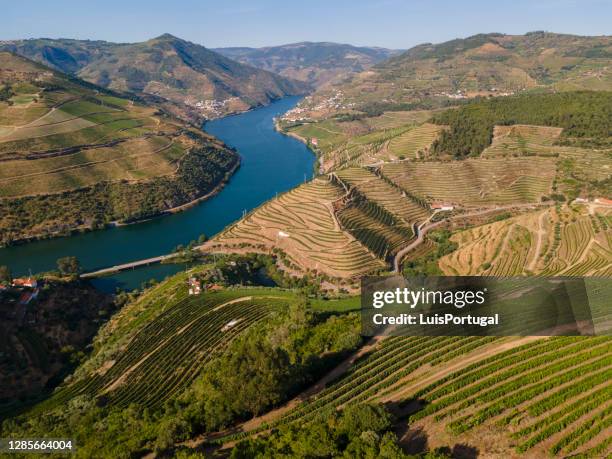 douro vallei in de buurt van peso da régua - douro river stockfoto's en -beelden