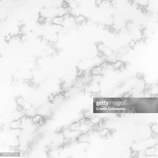 white and gray marble texture vector background, useful to create surface effect for your design products such as background of greeting cards, architectural and decorative patterns. trendy template inspiration for your design. - limestone stock illustrations