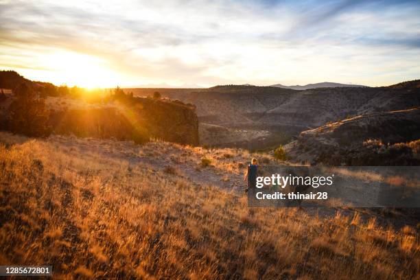 family hike at sunset - oregon wilderness stock pictures, royalty-free photos & images