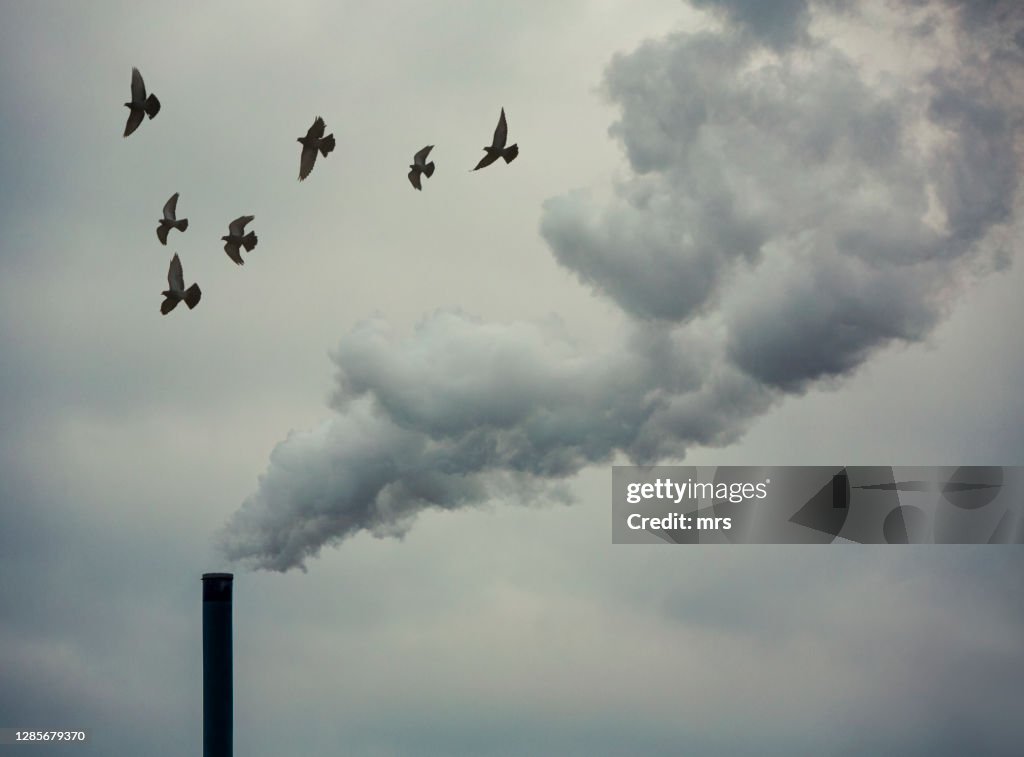 Smoking industrial chimney