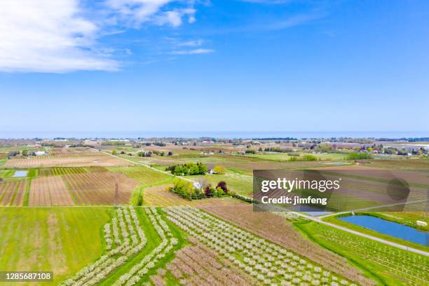 farm and orchard in spring at niagara falls area, ontario, canada - river niagara stock pictures, royalty-free photos & images