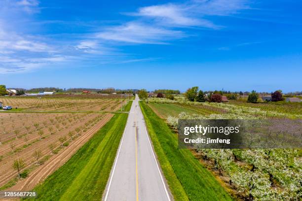 farm and orchard in spring at niagara falls area, ontario, canada - niagara on the lake stock pictures, royalty-free photos & images