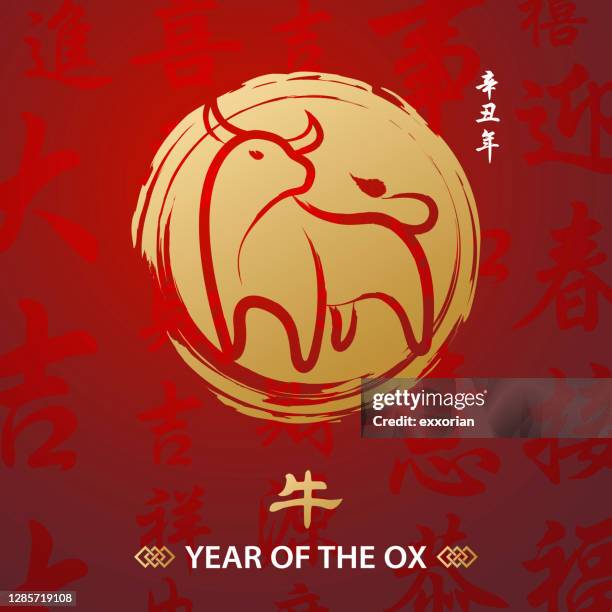 ilustraciones, imágenes clip art, dibujos animados e iconos de stock de año de la pintura china de buey - year of the ox