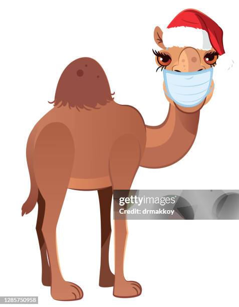 543 Camel Cartoon Photos and Premium High Res Pictures - Getty Images 543 Camel Cartoon Photos and Premium High Res Pictures - Getty Images