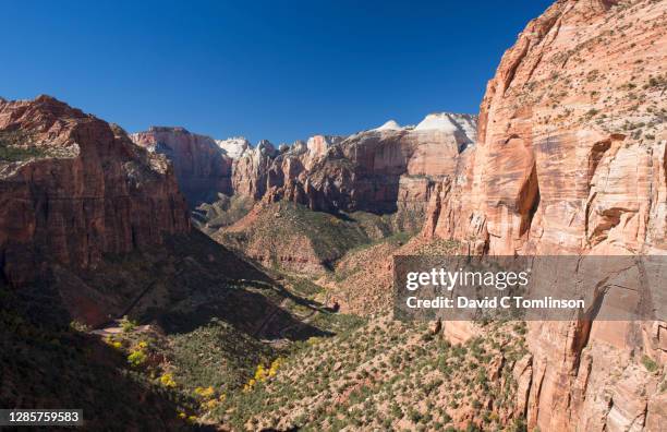 vertiginous view over pine creek from clifftop viewpoint marking the end of the canyon overlook trail, zion national park, utah, usa - cottonwood stock pictures, royalty-free photos & images