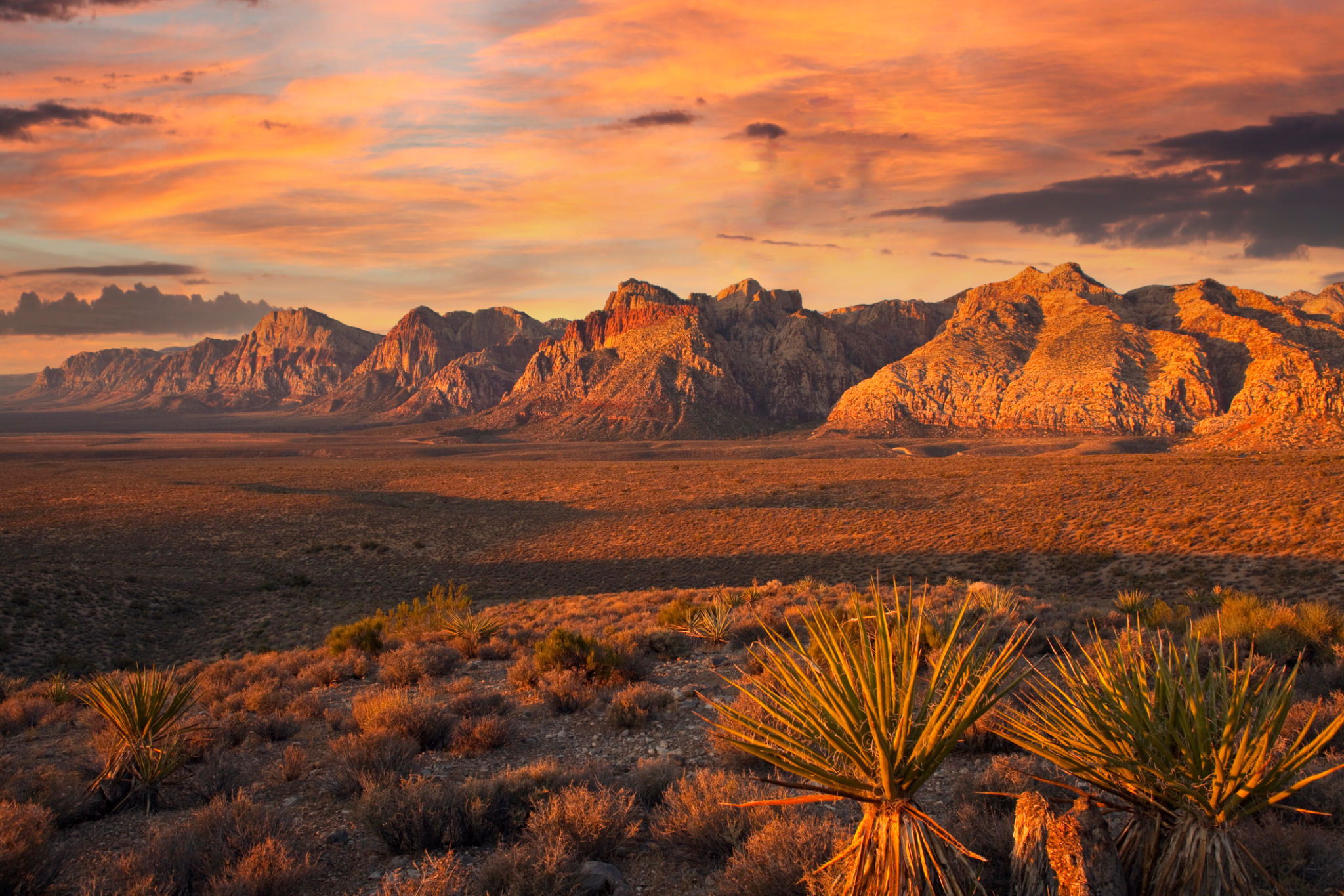 nevada landscape